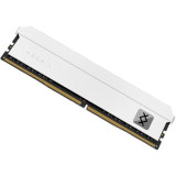 Asgard Valkyrie RGB DDR4 32GB (2x16GB) 3200MHz
