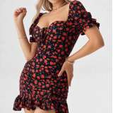 فستان قصير نسائي أسود مزهر بالورود الحمراء Women’s Black Mini Dress with Red Floral Print – Code 092 فستان قصير نسائي أسود مزهر بالورود الحمراء Women’s Black Mini Dress with Red Floral Print – Code 092