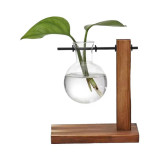 مزهرية زجاجية معلقة بقاعدة خشبية Glass Hanging Vase with Wooden Stand مزهرية زجاجية معلقة بقاعدة خشبية Glass Hanging Vase with Wooden Stand