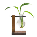 مزهرية زجاجية معلقة بقاعدة خشبية Glass Hanging Vase with Wooden Stand مزهرية زجاجية معلقة بقاعدة خشبية Glass Hanging Vase with Wooden Stand