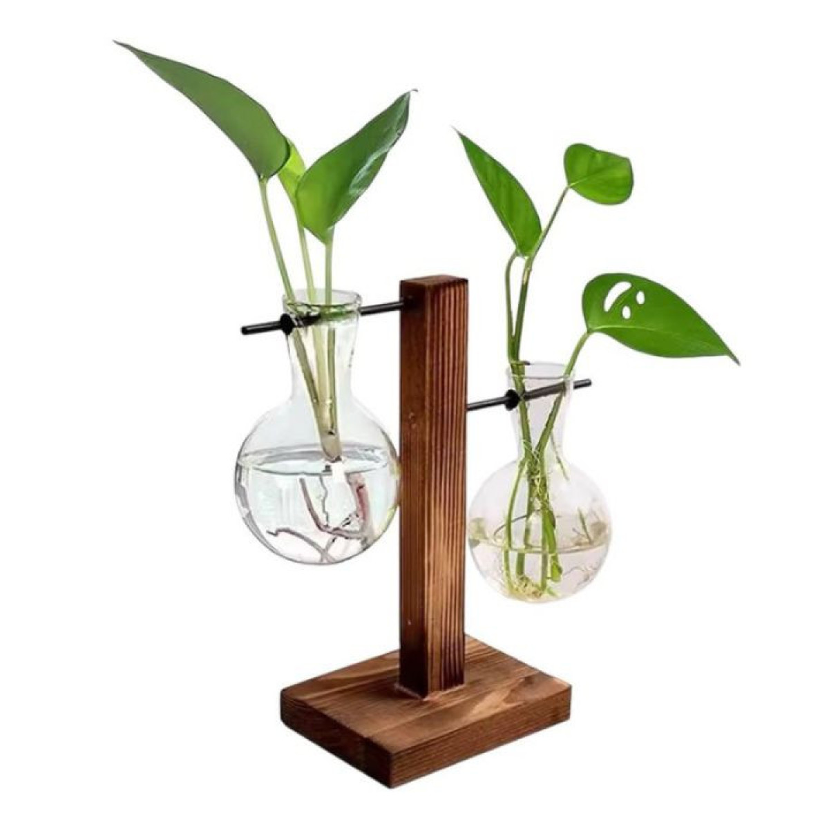 قارورة نبات ثنائية مع ستاند Dual Plant Bottle With Stand قارورة نبات ثنائية مع ستاند Dual Plant Bottle With Stand