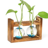 قارورة نبات ثنائية مع ستاند Dual Plant Bottle With Stand