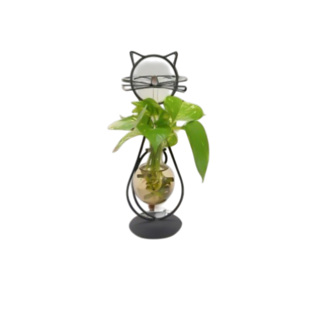 دورق نبات منضدي Plant Terrarium Set Display Glass Tabletop دورق نبات منضدي Plant Terrarium Set Display Glass Tabletop