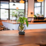 دورق نبات منضدي Plant Terrarium Set Display Glass Tabletop دورق نبات منضدي Plant Terrarium Set Display Glass Tabletop
