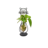 دورق نبات منضدي Plant Terrarium Set Display Glass Tabletop دورق نبات منضدي Plant Terrarium Set Display Glass Tabletop
