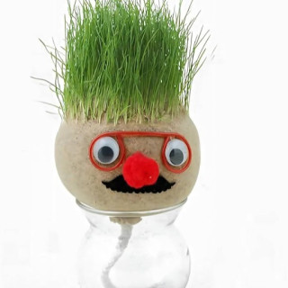 دمية النبات العشبي Grass Head Doll دمية النبات العشبي Grass Head Doll