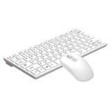 Stinger SKM-100 2.4G AR/EN Mini Keyboard & Mouse 78 Keys Stinger SKM-100 2.4G AR/EN Mini Keyboard & Mouse 78 Keys
