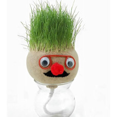 وعاء نبات داخلي صغير برأس عشبي - SH-1062 - بيجي